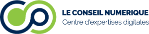 LCN couleur 2 300x69