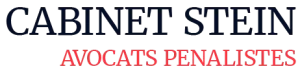 logo dark stein avocat penaliste paris.png 300x73